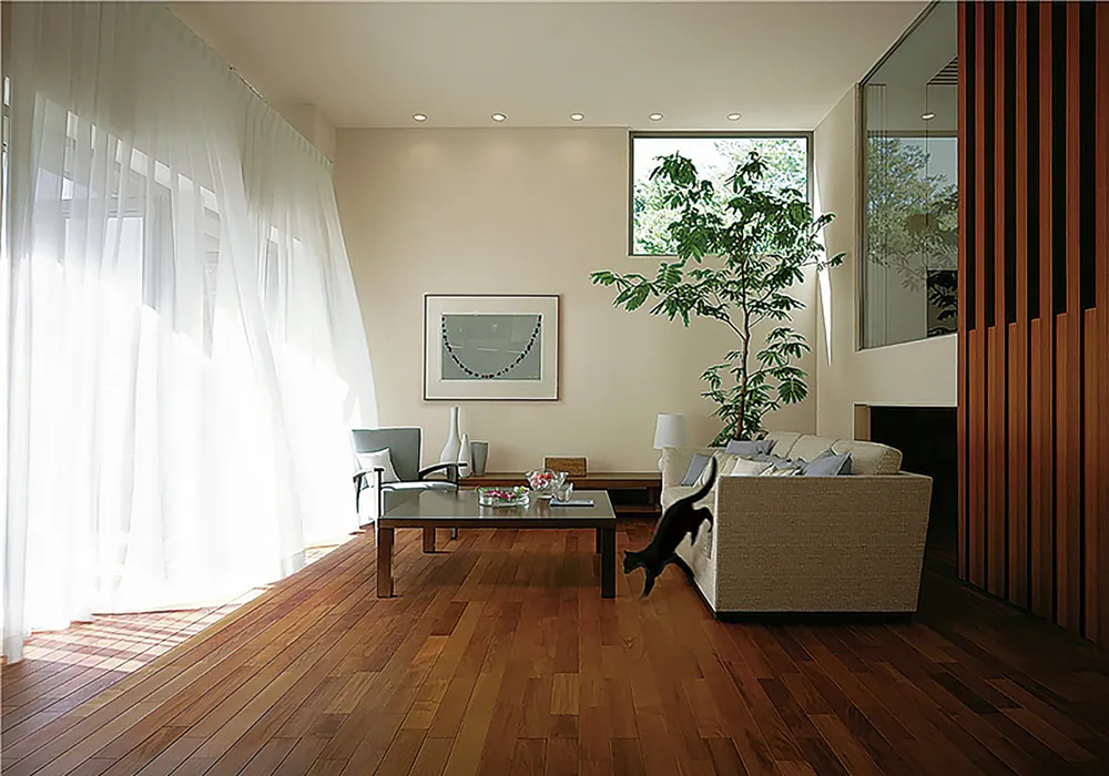 250600ミサワ新モデルハウスイメージ